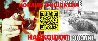 jwh Ярославль