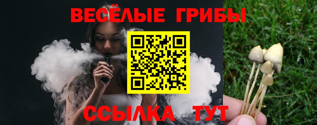 Галлюциногенные грибы мицелий Архангельск